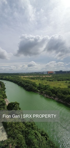 Rio Vista (D19), Condominium #219702601